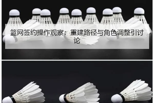 篮网签约操作观察：重建路径与角色调整引讨论